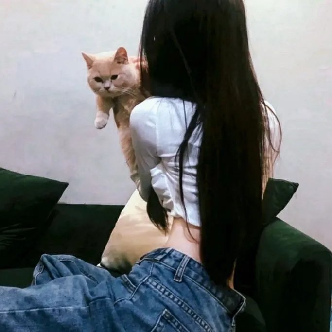 美男记